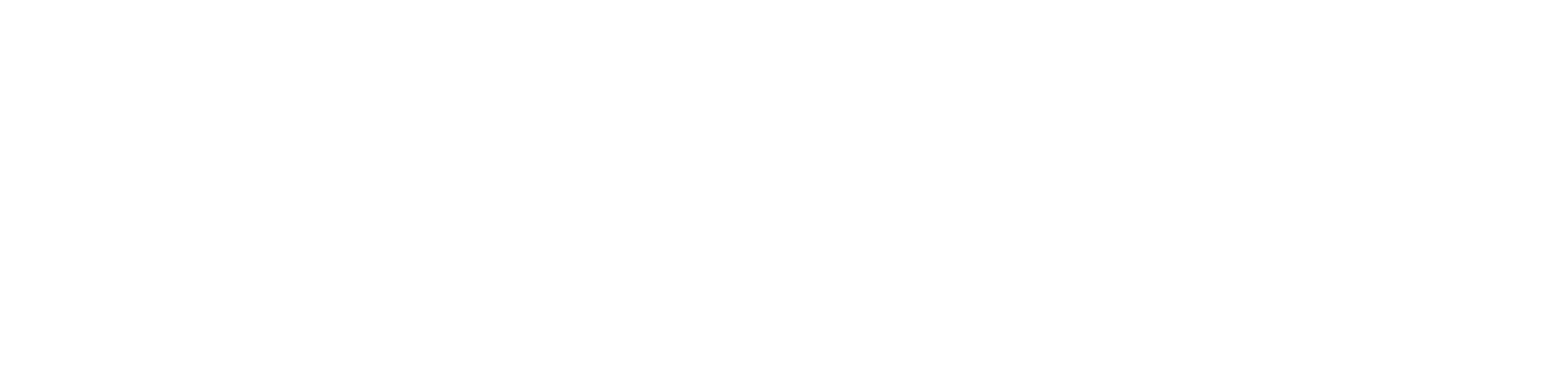 IDAM2